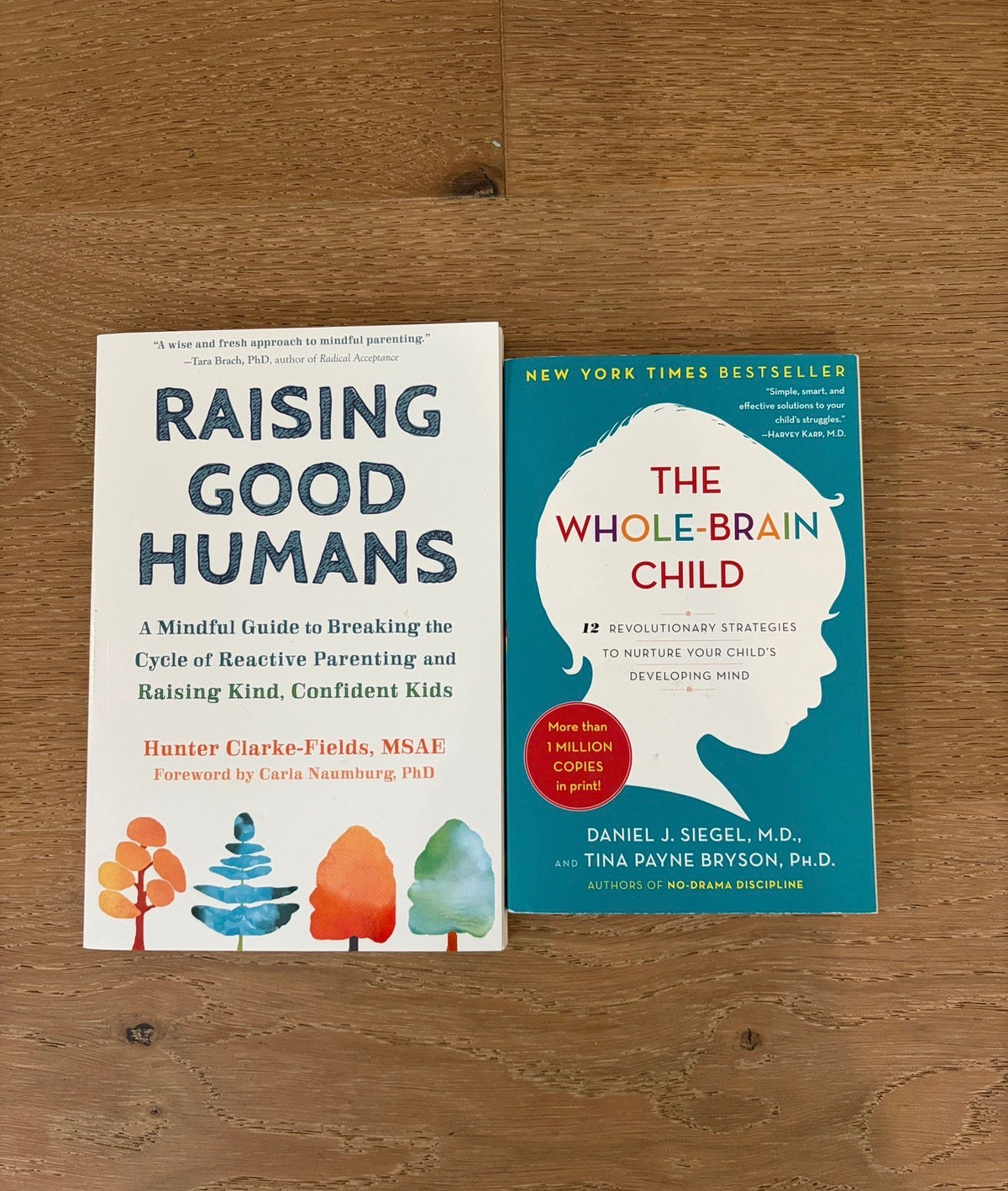 Seller #193 NEW "Raising Good Humans" and "The Whole-Brain Child" Mindful Nurturing Parenting Books