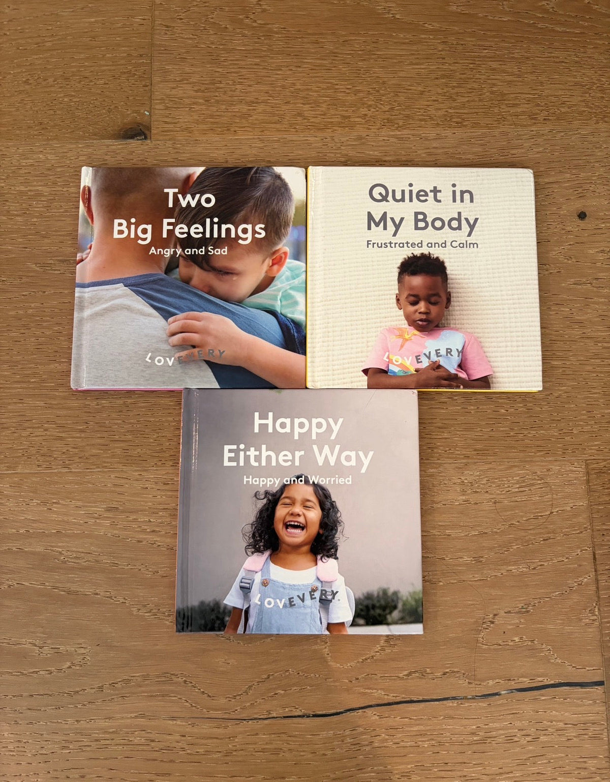 Seller #193 Lovevery Feelings/Emotions Bookset