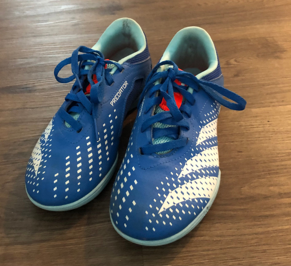 #137 Adidas predator futsal shoes youth 2.5