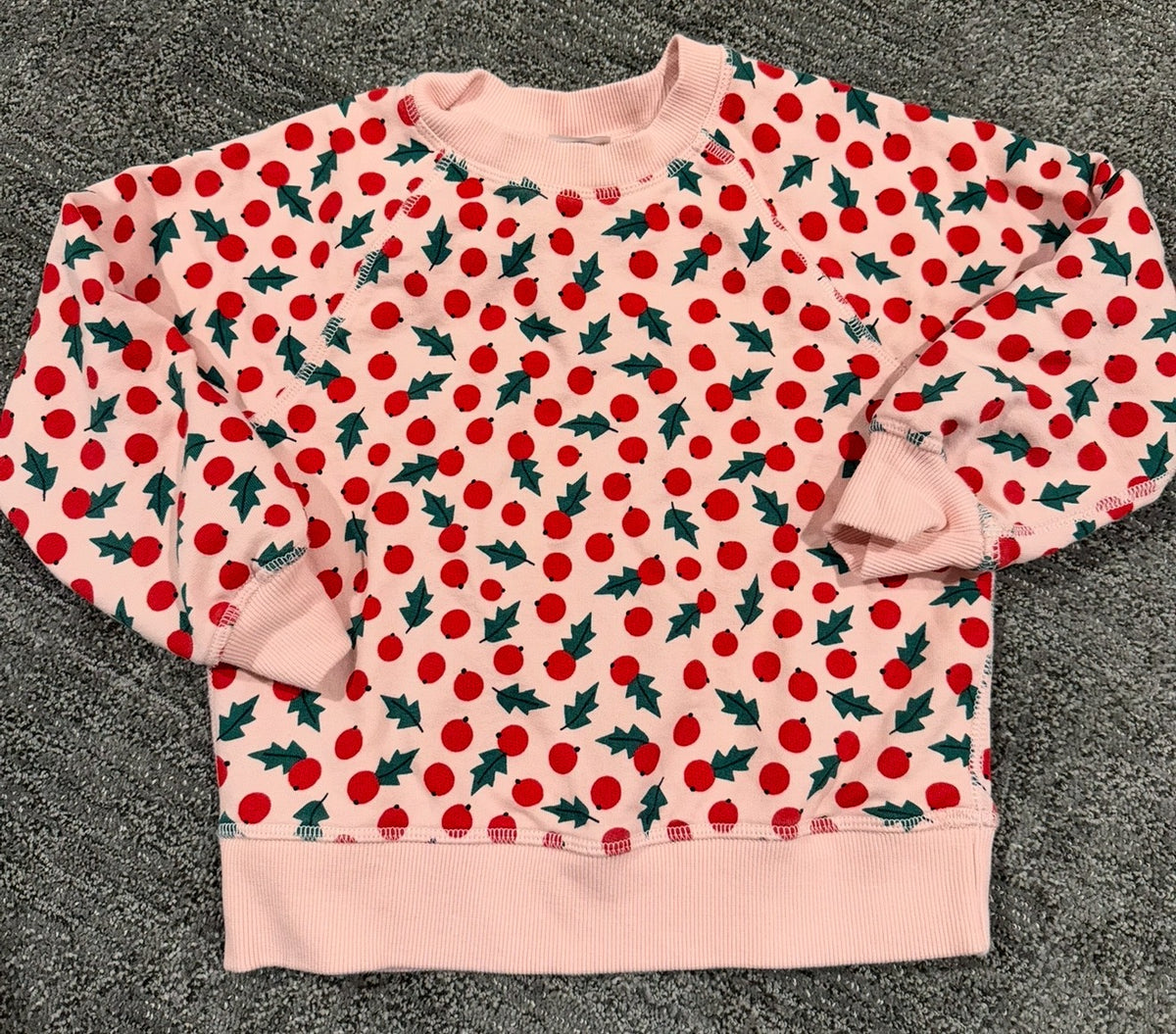 #133 girls Hanna Andersson holiday sweatshirt 5 EUC