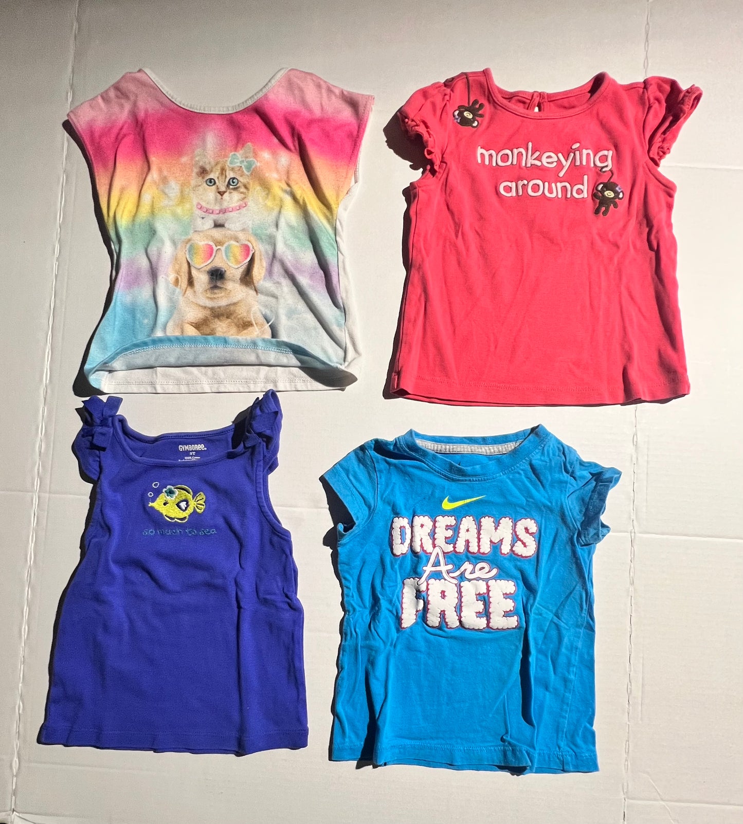 #100 Girls 3T Shirt Bundle