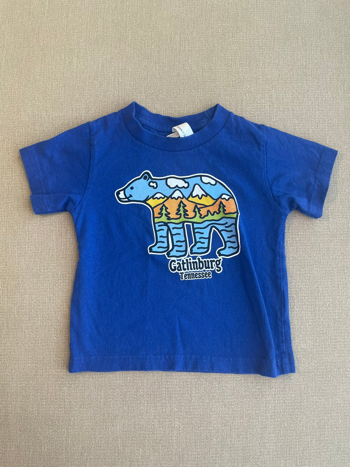 Seller #12 | Gatlinburg Souviner Tshirt | True Blue with Bear Outlining the Mts | EUC | Size 2