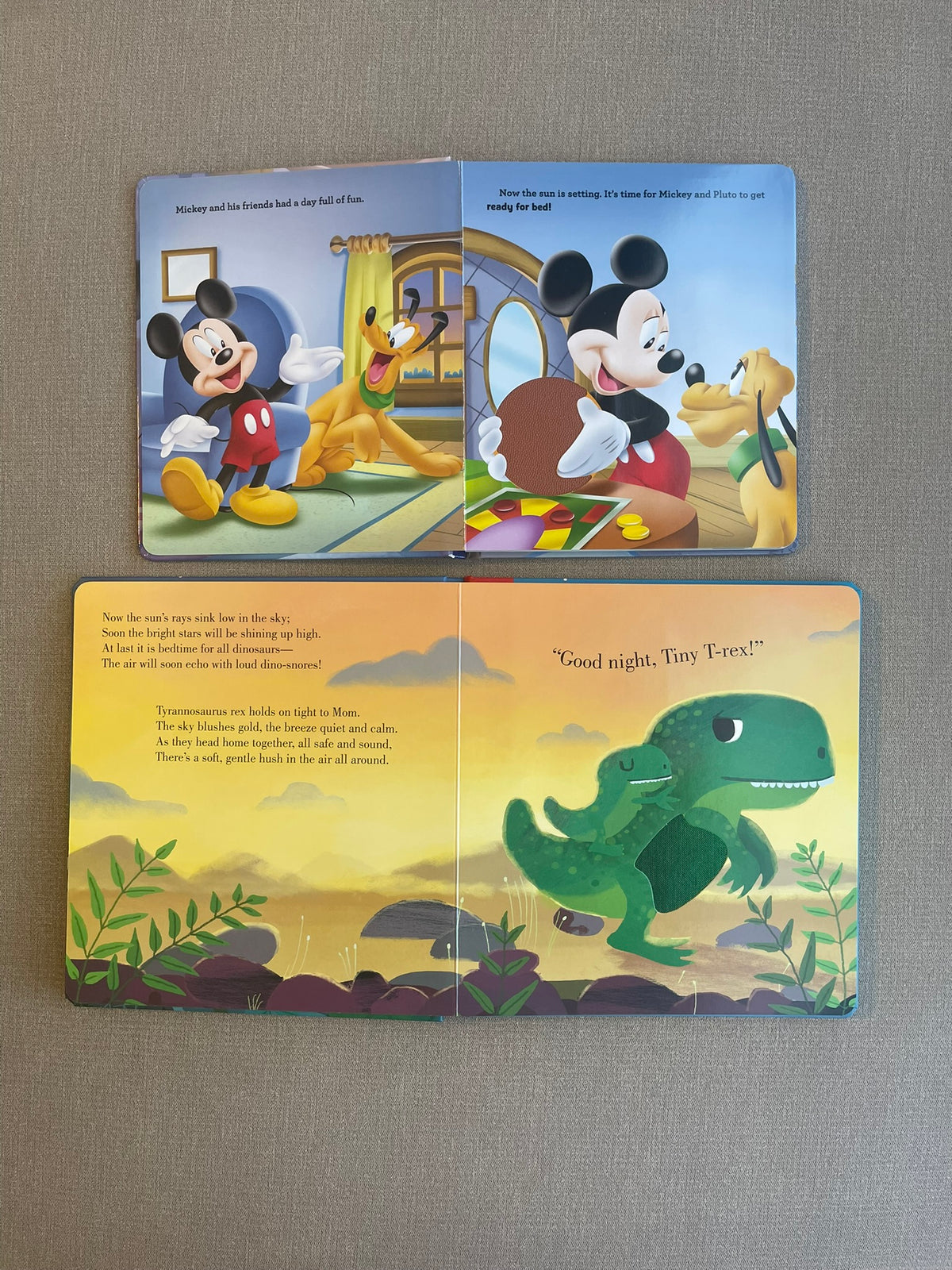 Seller #12 | Set of 2 Good Night Touch and Feel Books