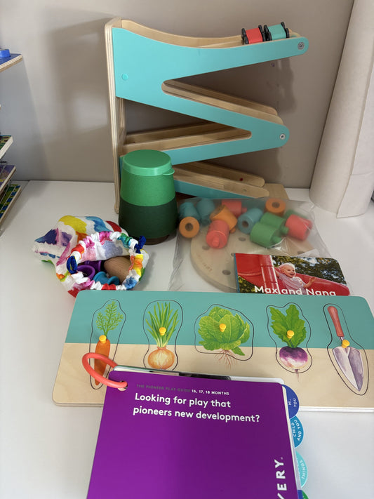 #138 - Lovevery The Adventurer Play Kit (Months 16, 17, and 18)