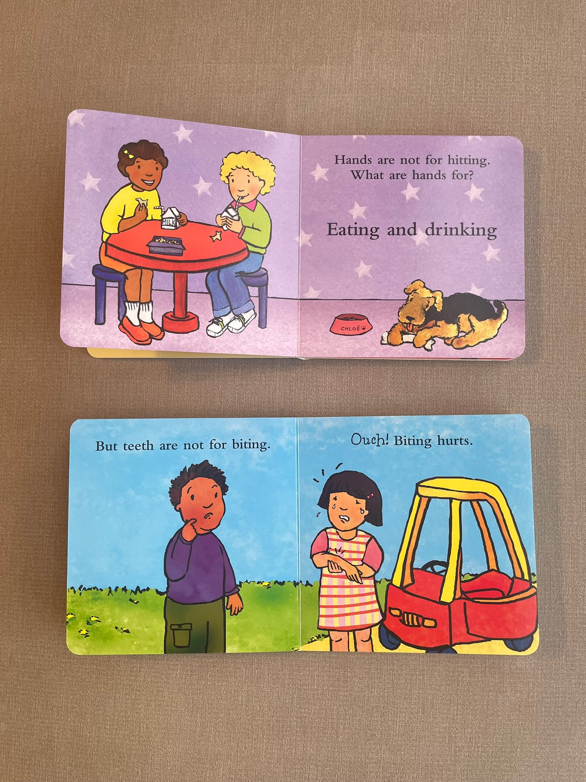 Seller #12 | Set of 2 | Behavior Support Books