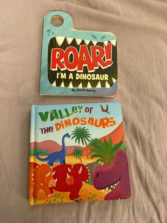 #211 REDUCED Dinosaur Board Book Bundle