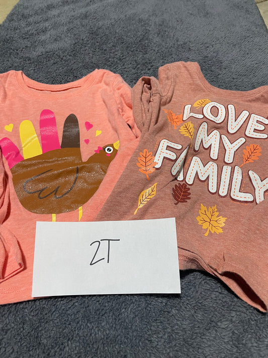 #69 2T Thanksgiving Shirts