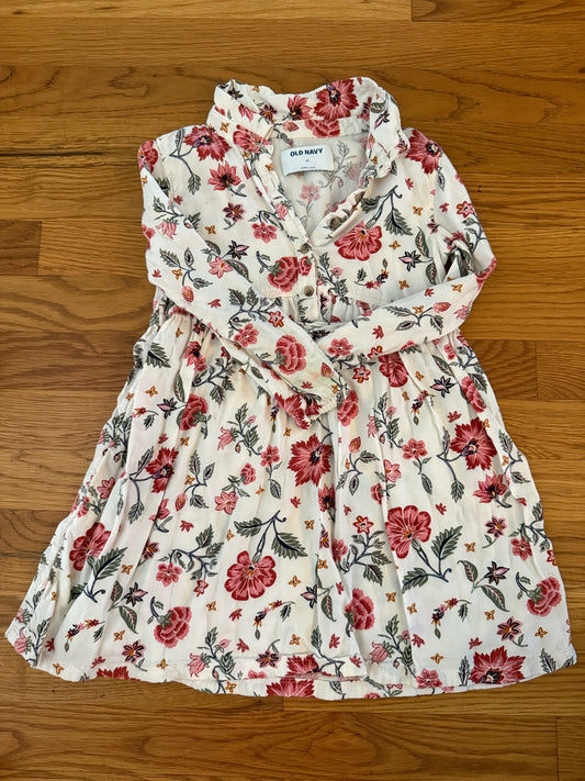 Seller #152 - Old Navy girls size 4 floral button front long sleeve dress