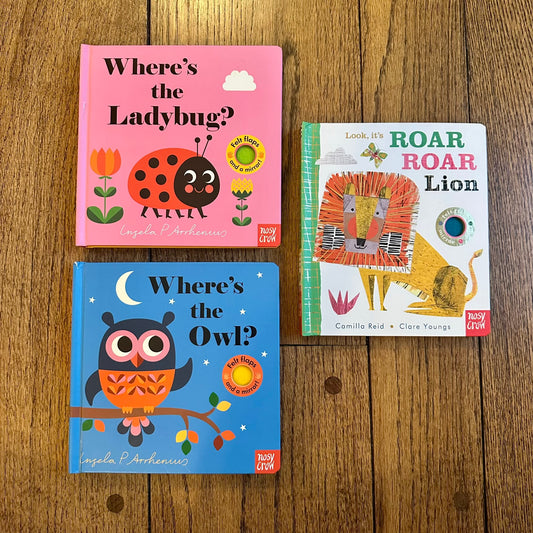 #113	EUC Felt Flap Board Book Bundle set of 3