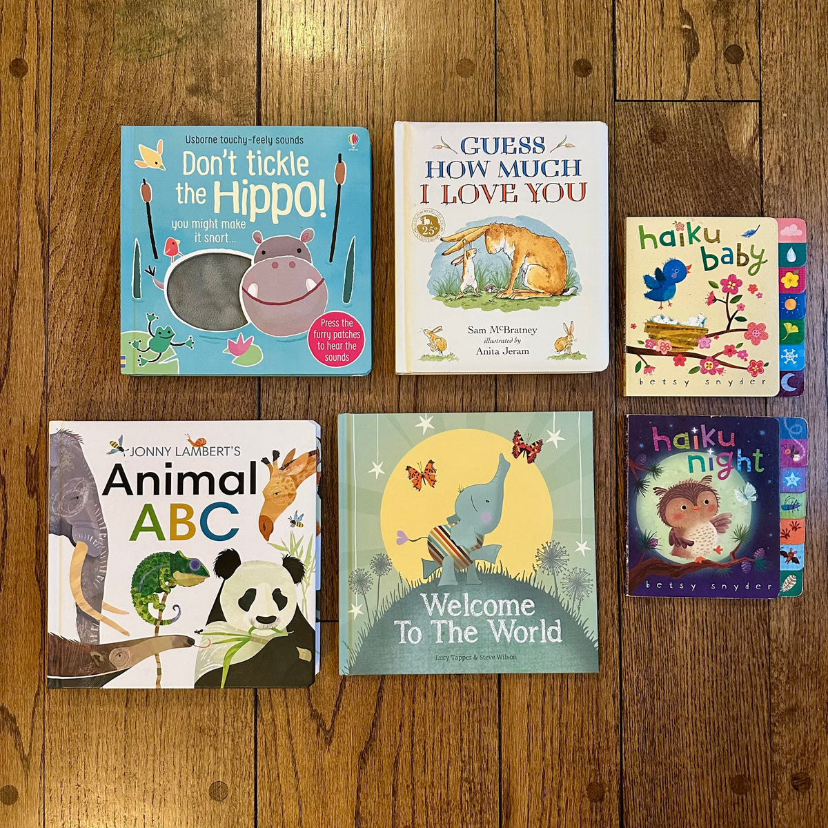 #113	EUC Baby / Infant Board Book Bundle set of 6