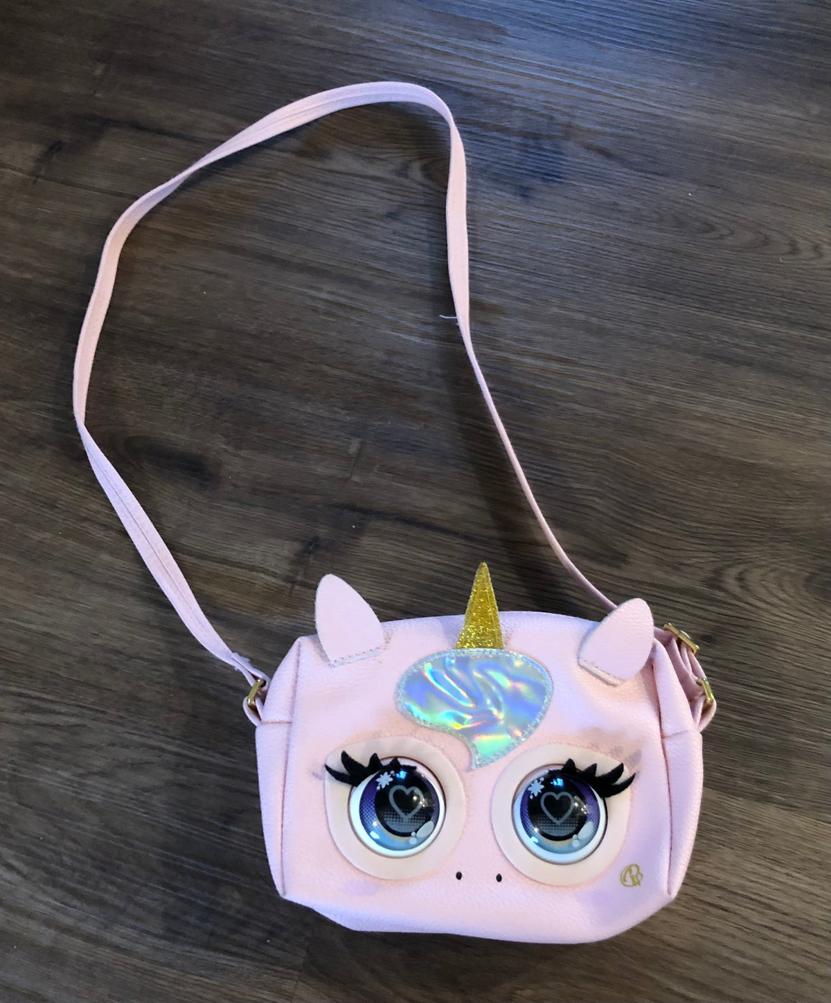 #137 Purse pet