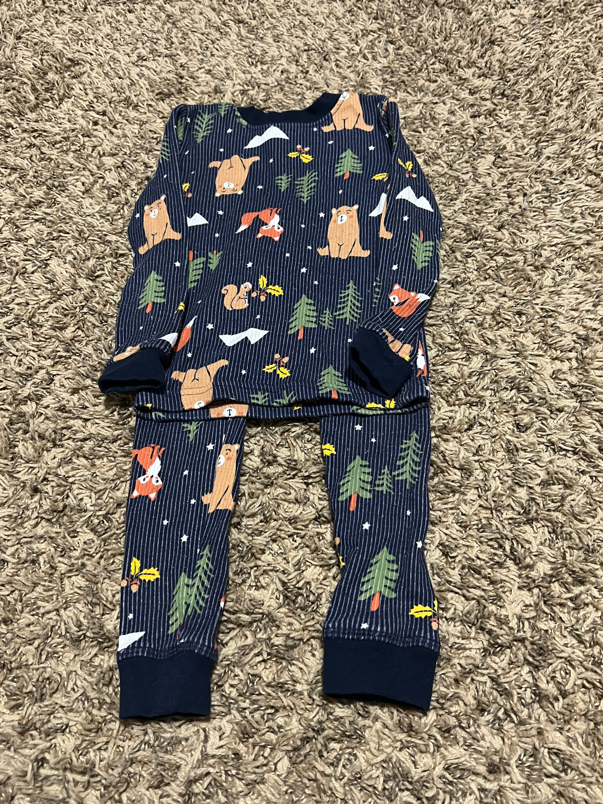 Seller #45 Watsons Woodland Animal Pajamas Size 4t