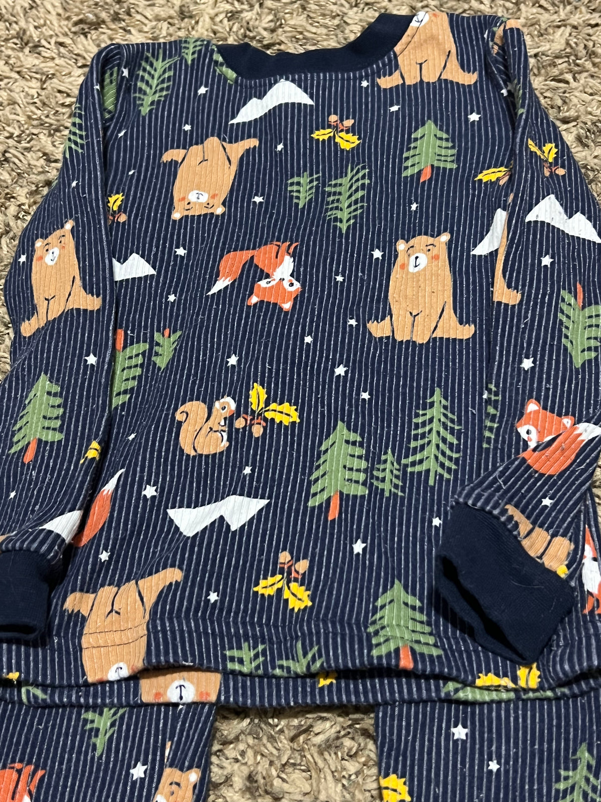 Seller #45 Watsons Woodland Animal Pajamas Size 4t