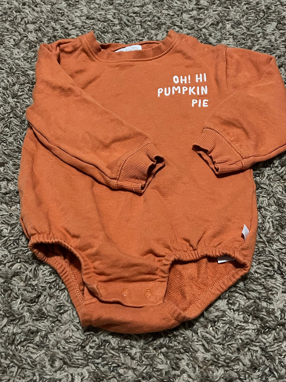 Seller #45 Organic Little Planet by Carters Sweatshirt material Fall Onesie 24 months (2 of 2)