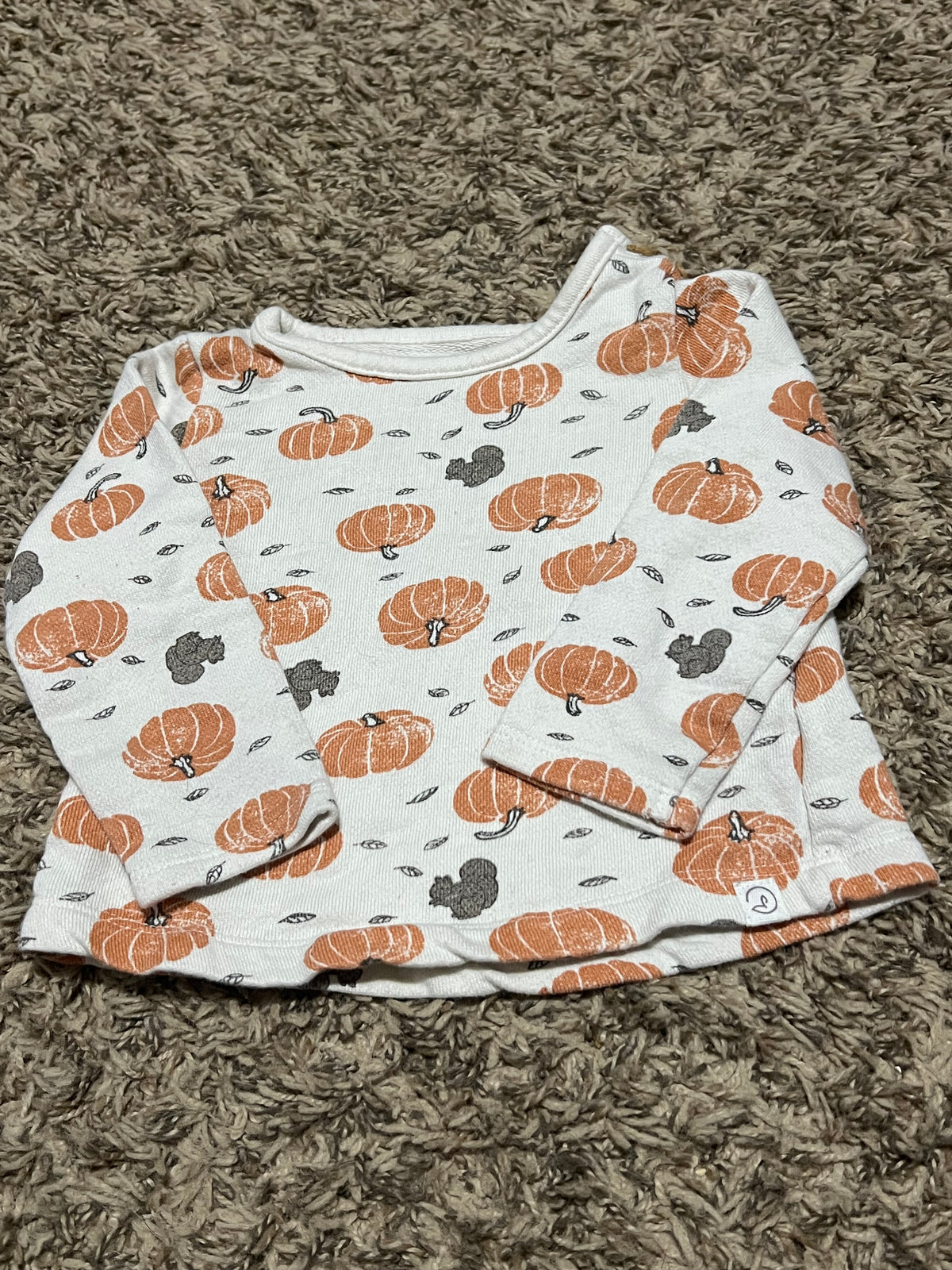 Seller #45 Organic Little Planet by Carters Pumpkin sweatshirt Size 18 months