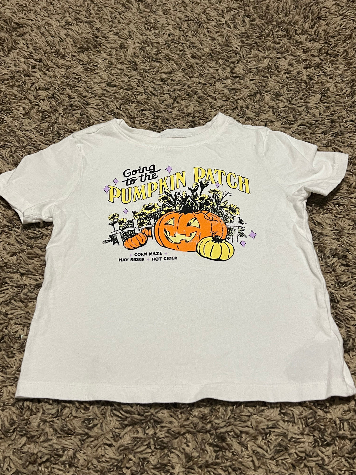 Seller #45 Old Navy Pumpkin Patch tshirt Size 3t (1 of 2)