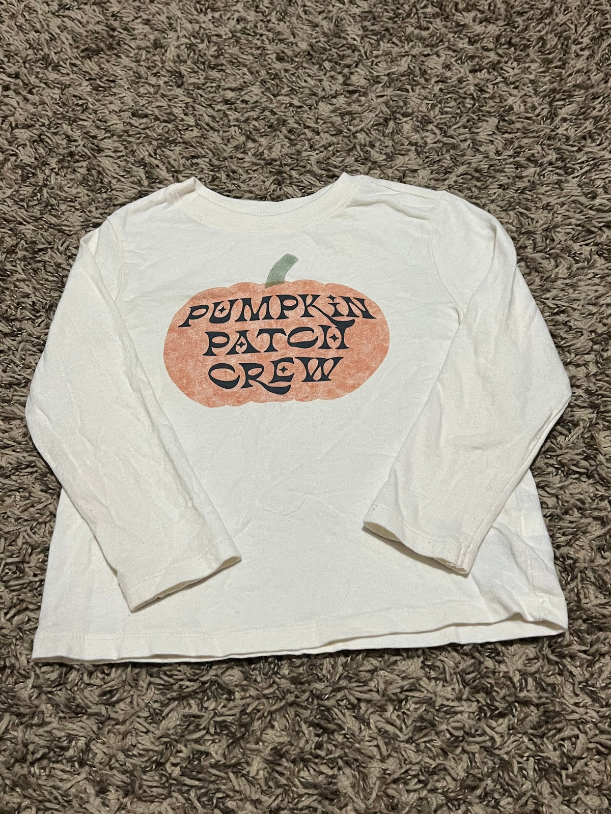Seller #45 Old Navy Pumpkin Patch Crew Long sleeve shirt Size 3t (1 of 2)