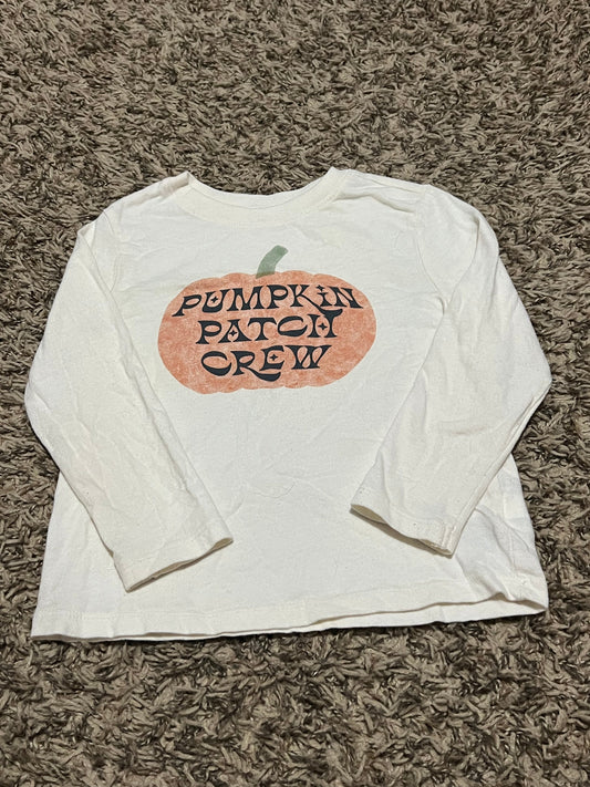 Seller #45 Old Navy Pumpkin Patch Crew Long sleeve shirt Size 3t (1 of 2)