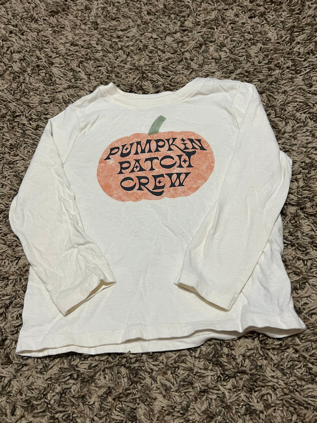 #45 Old Navy Pumpkin Patch Crew Longsleeve tshirt Toddler Boys 3t (2 of 2)