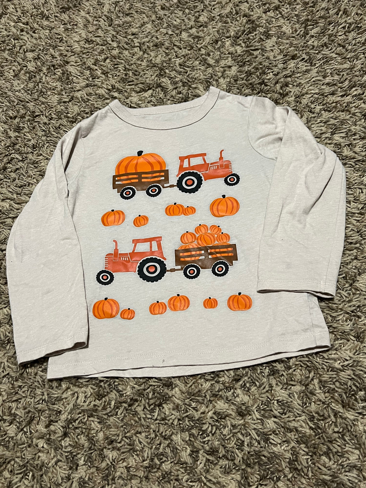 Seller #45 Children's Place Pumpkin Long Sleeve tshirt Size 3t