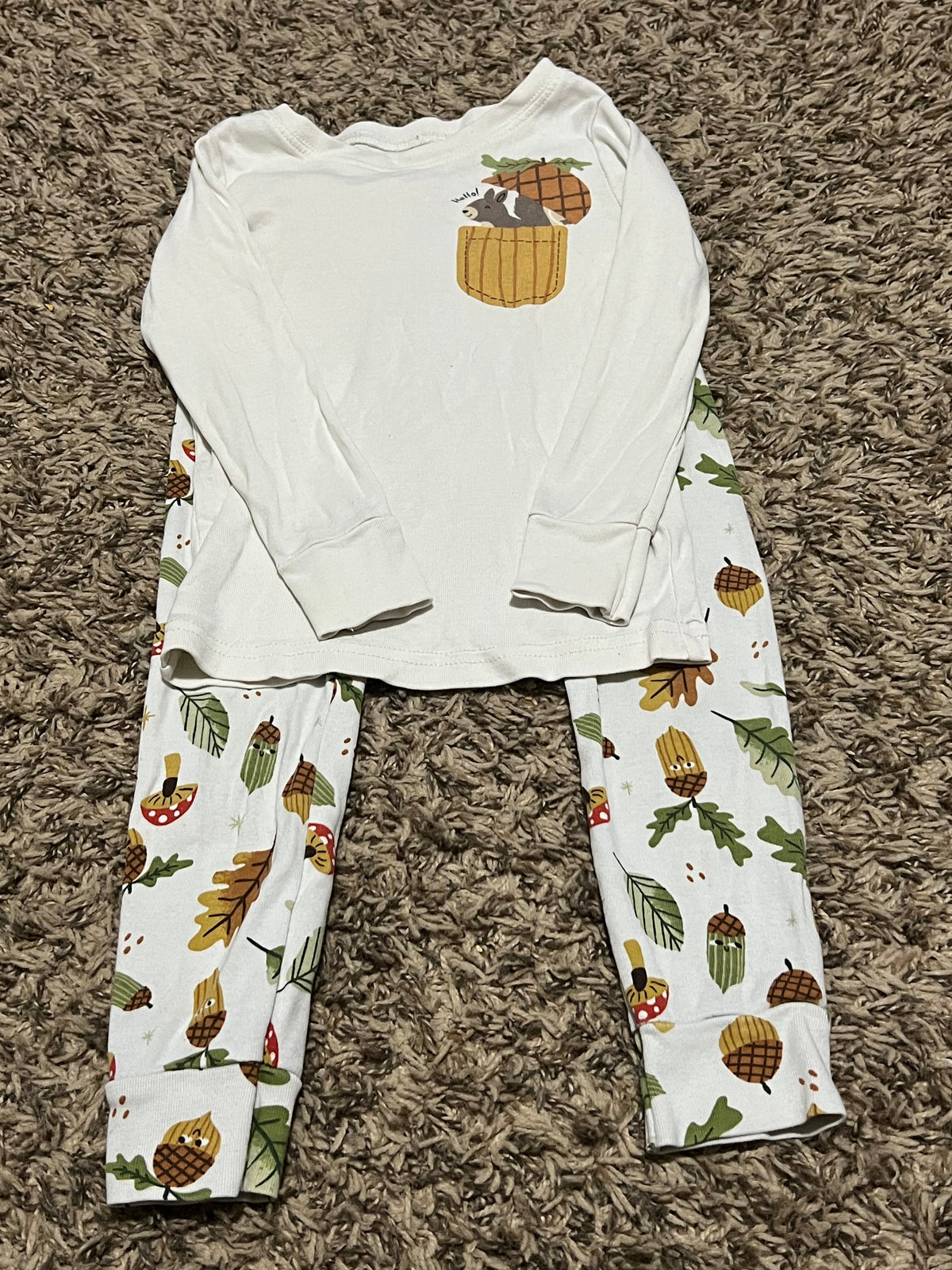 Seller #45 Old Navy Squirrel Pajamas Size 3t