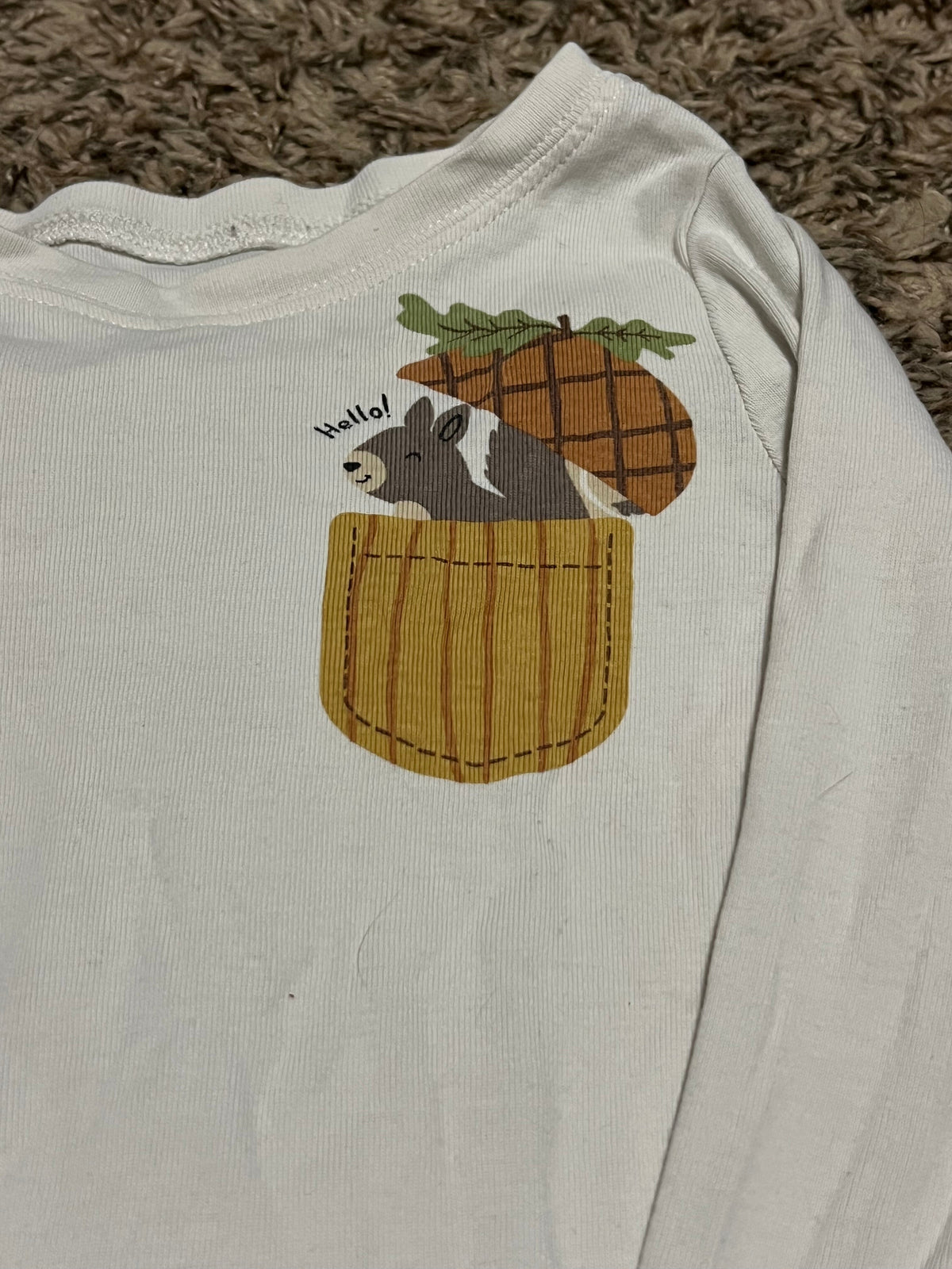 Seller #45 Old Navy Squirrel Pajamas Size 3t