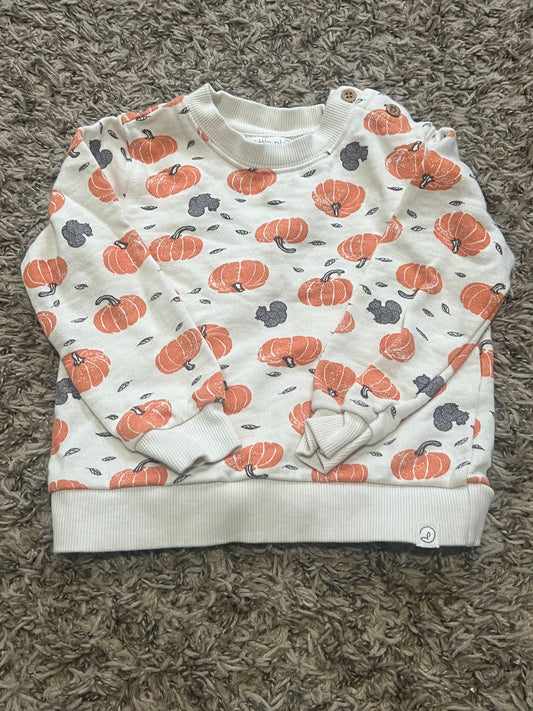 Seller #45 Organic Little Planet by Carters Pumpkin Sweatshirt Size 24 months
