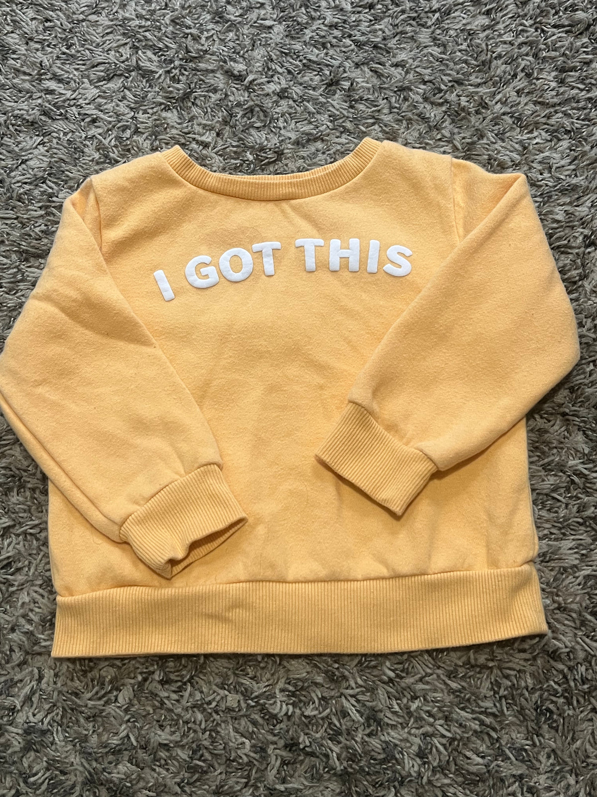 Seller #45 Falls Creek Sweatshirt Size 24 months