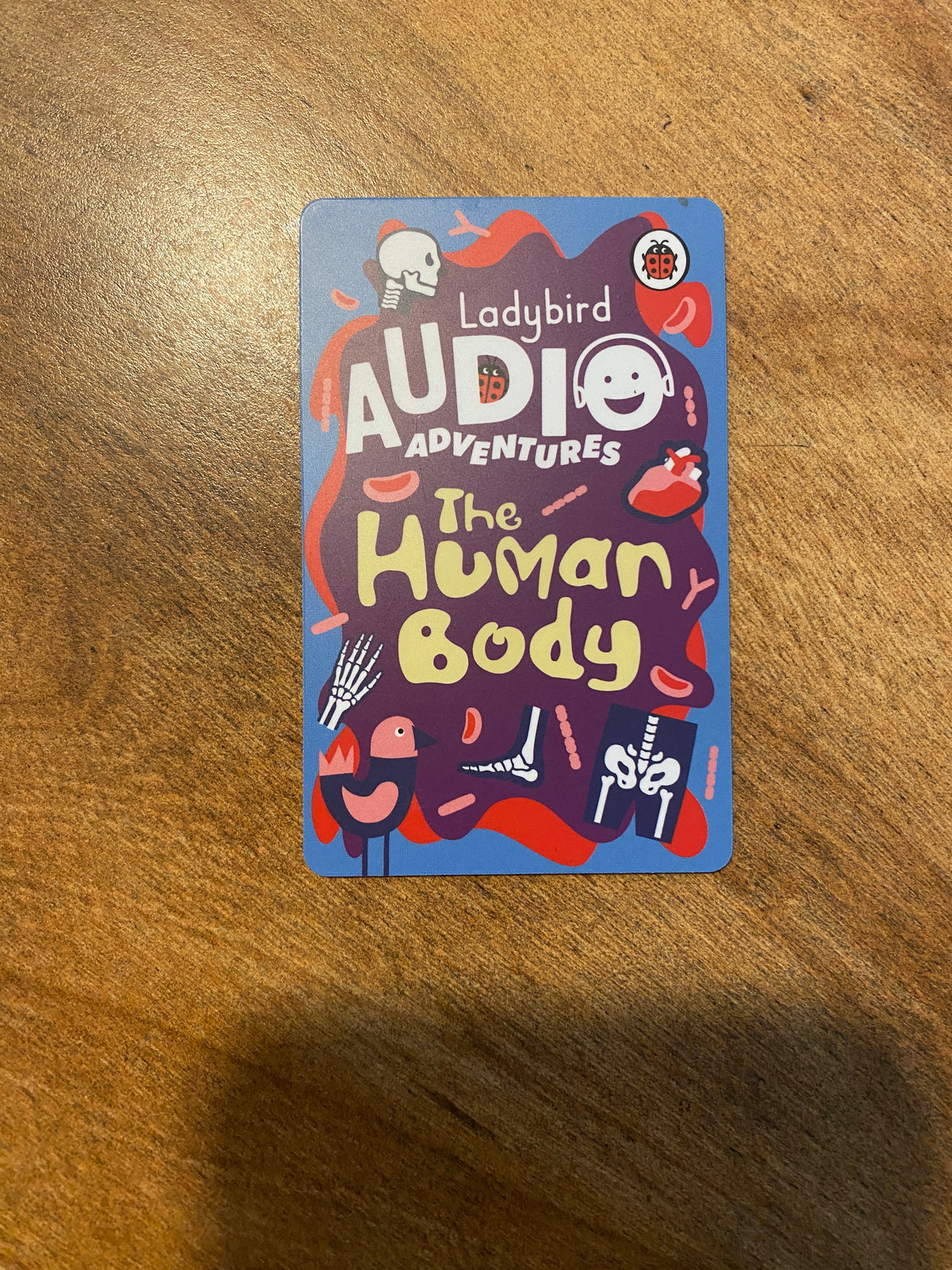 #63 Ladybird Audio Human Body Yoto Card