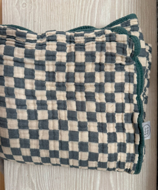 #207 Lou Lou & Co checkered teal blanket