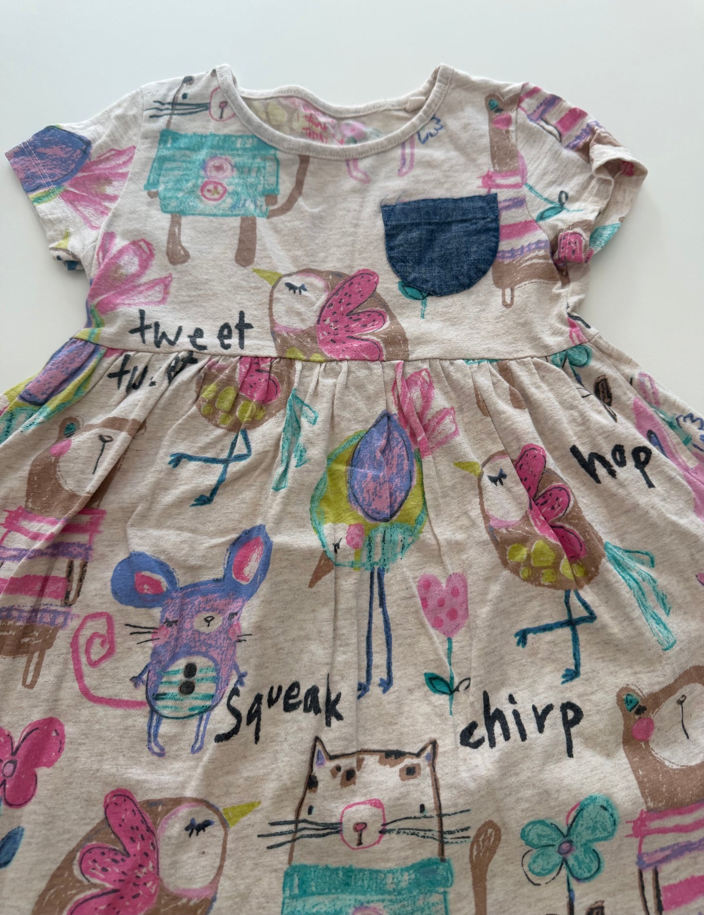 #117, Girls 4T, Next bird print dress, VGUC