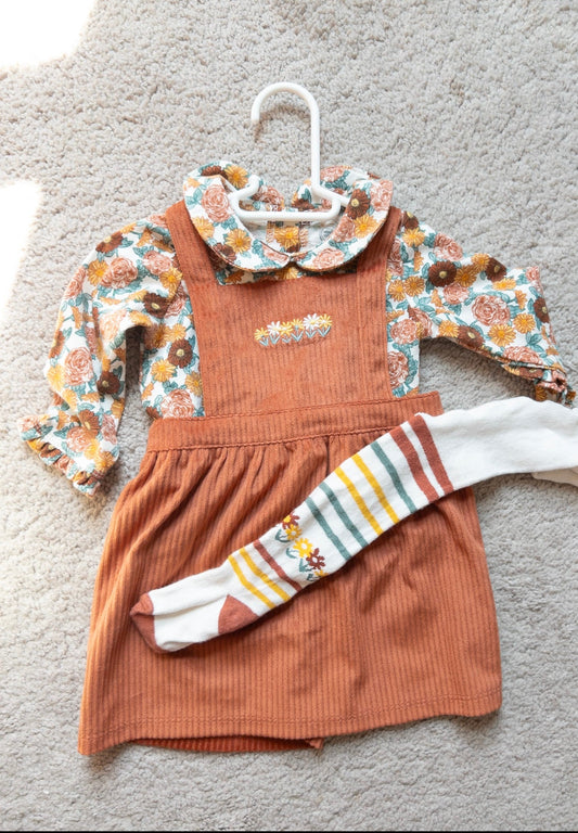 #151 Wonder Nation 3-6m floral dress outfit with tights - NWOT