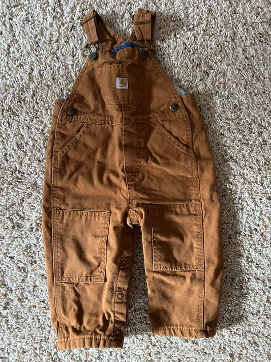 Seller #5 - Carhartt Bibs 12mos with Flannel Liner