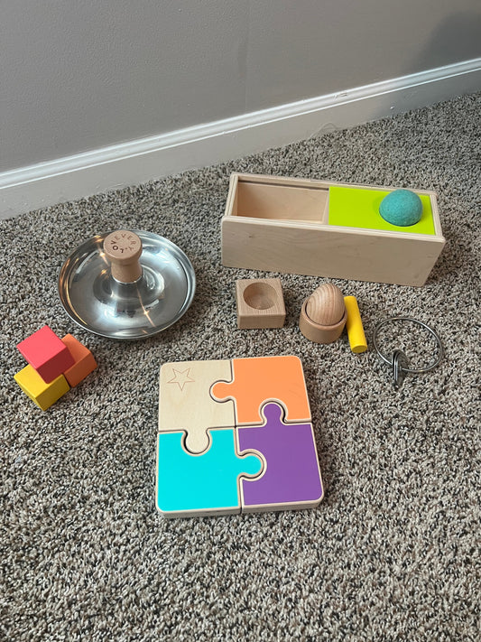 Seller #11 REDUCED Boys Girls Lovevery - part of Explorer Play Kit (months 9 - 10) and The Thinker Kit (month 11 - 12)