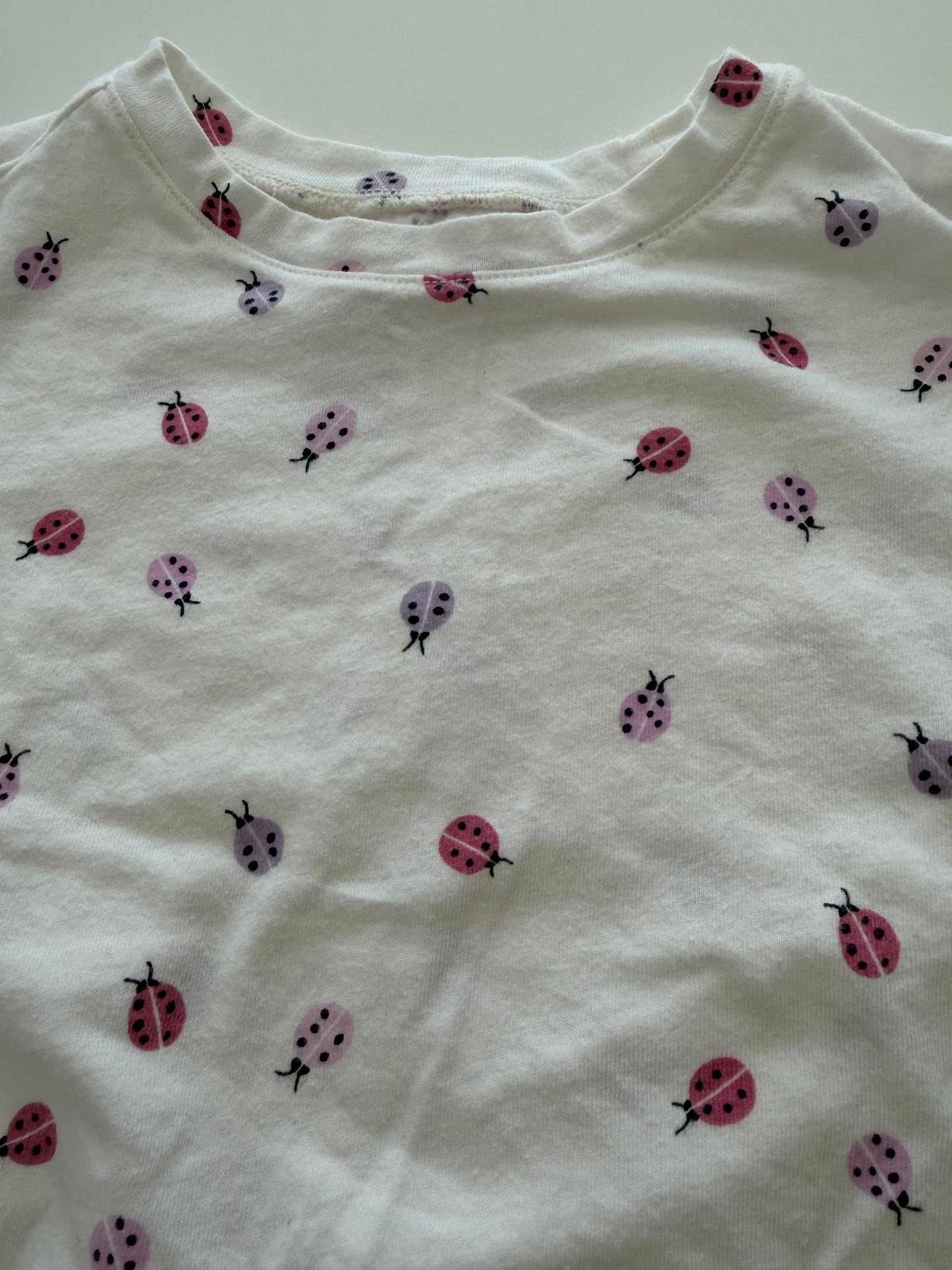 #117, Girls 4T, Gap purple tank top & ladybug tee, VGUC