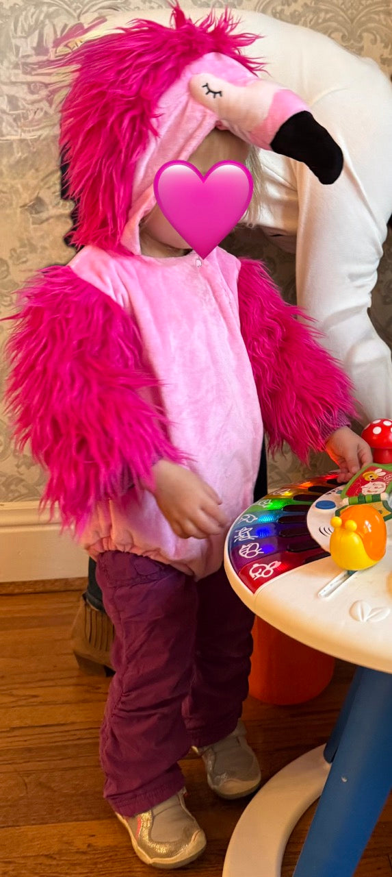 #82 Pottery Barn Kids Flamingo Costume Girls Size 12-24M