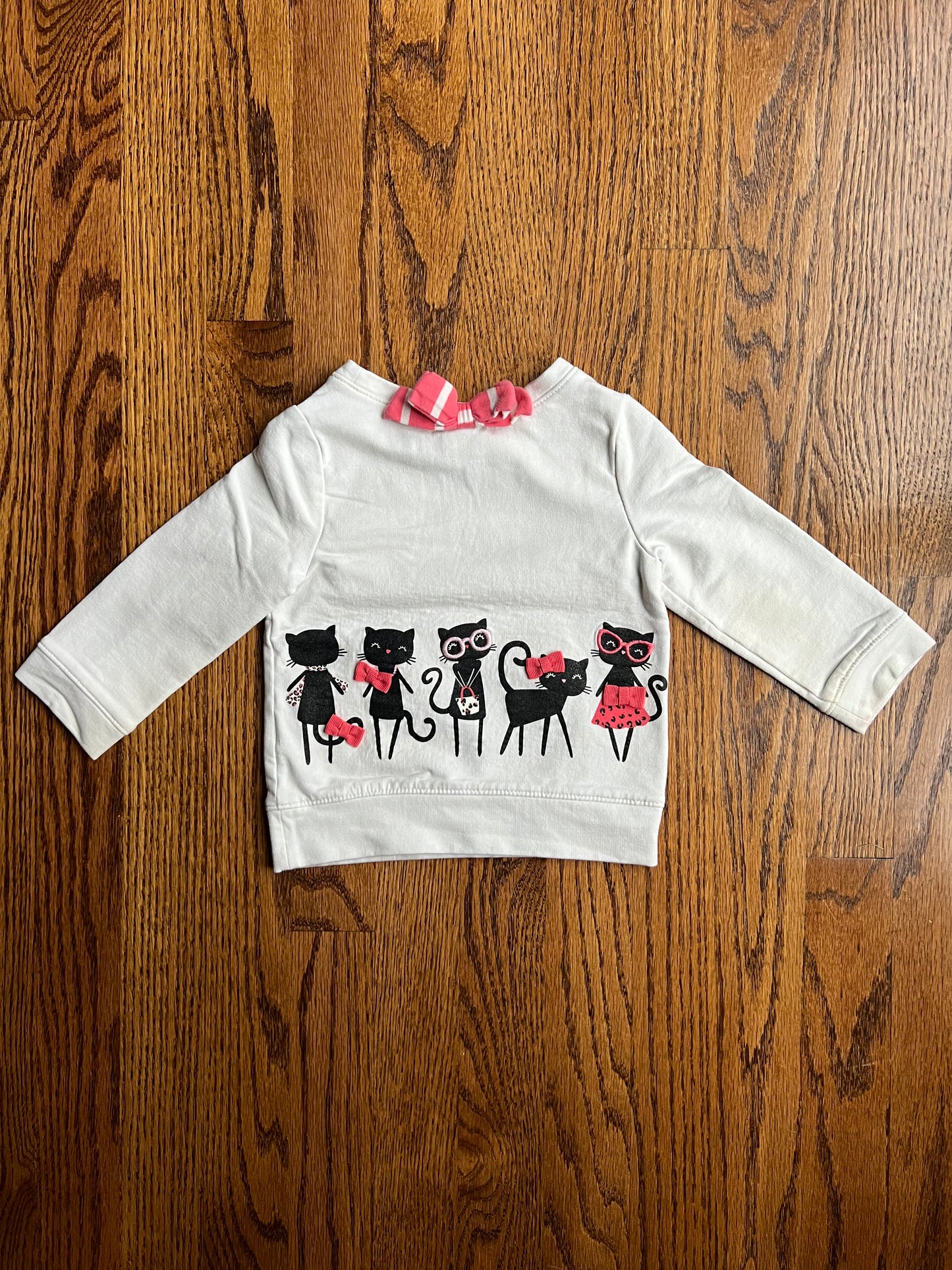 Baby Girl 18M Bundle (Cat Sweatshirt, Gray Mouse Tunic Dress, Pink Bodysuit, Teal Shirt)