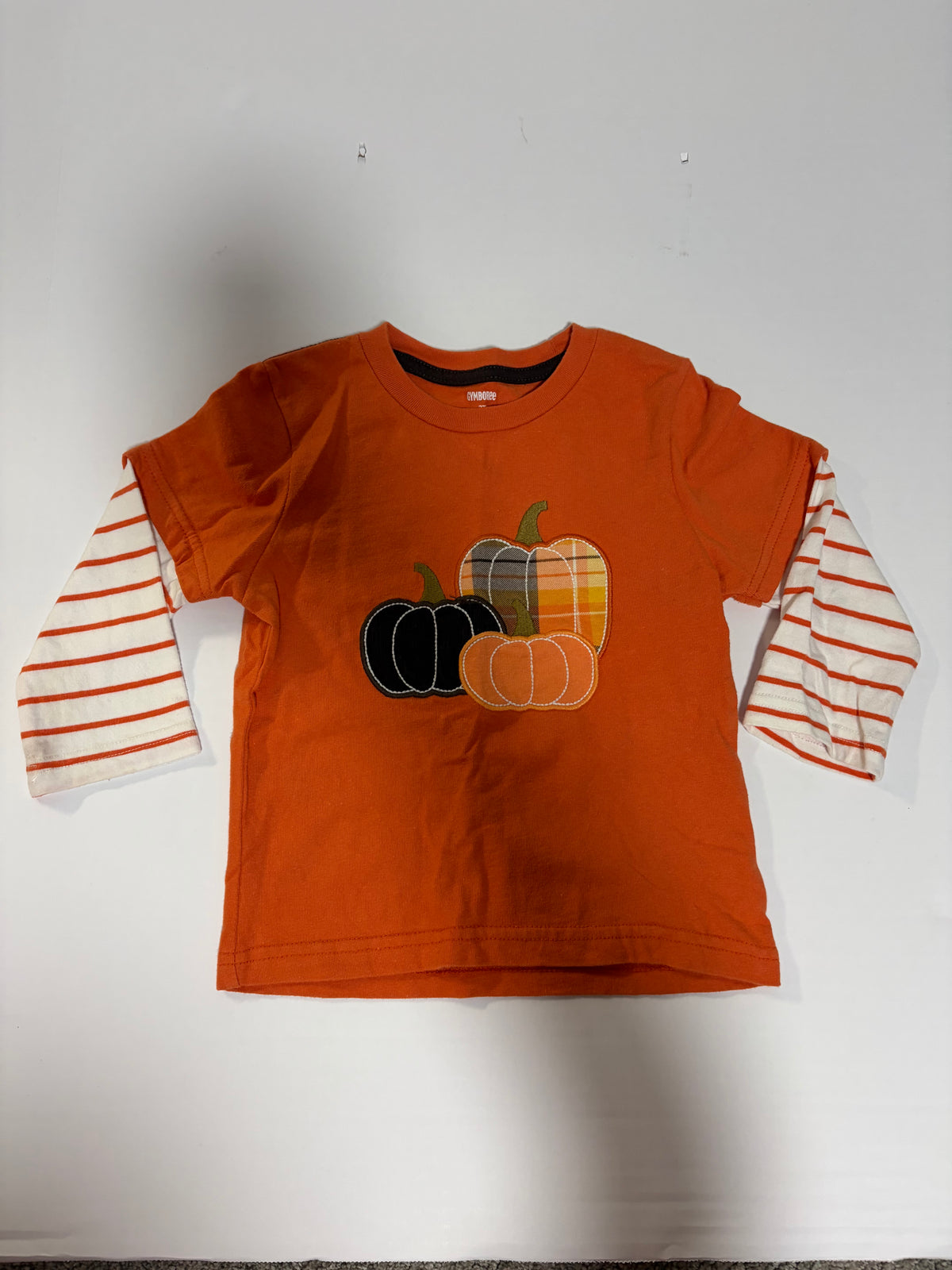 #27 Boys 2T Gymboree applique pumpkin long sleeve tee