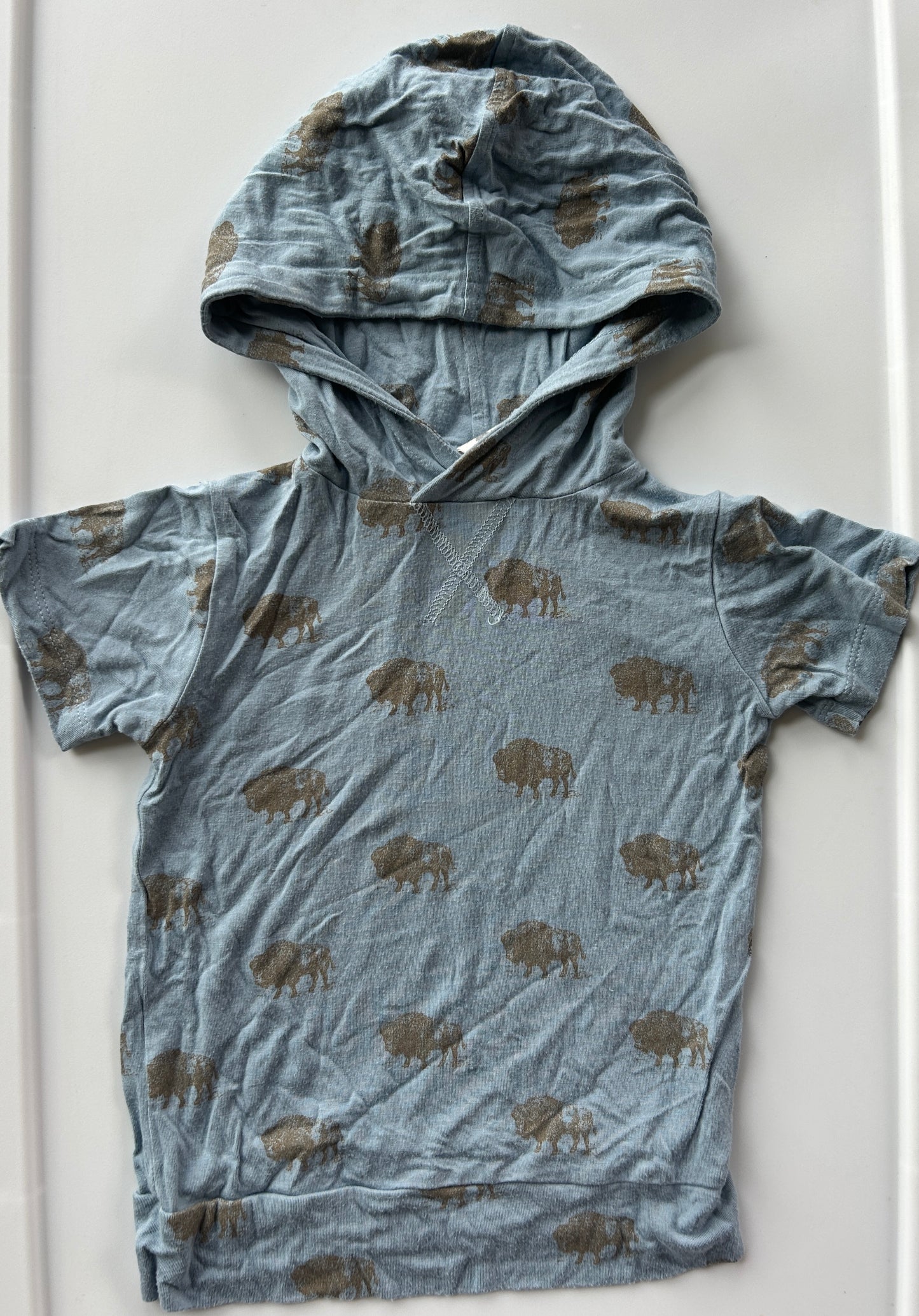 #34 Kate Quinn hooded shirt boys 24m