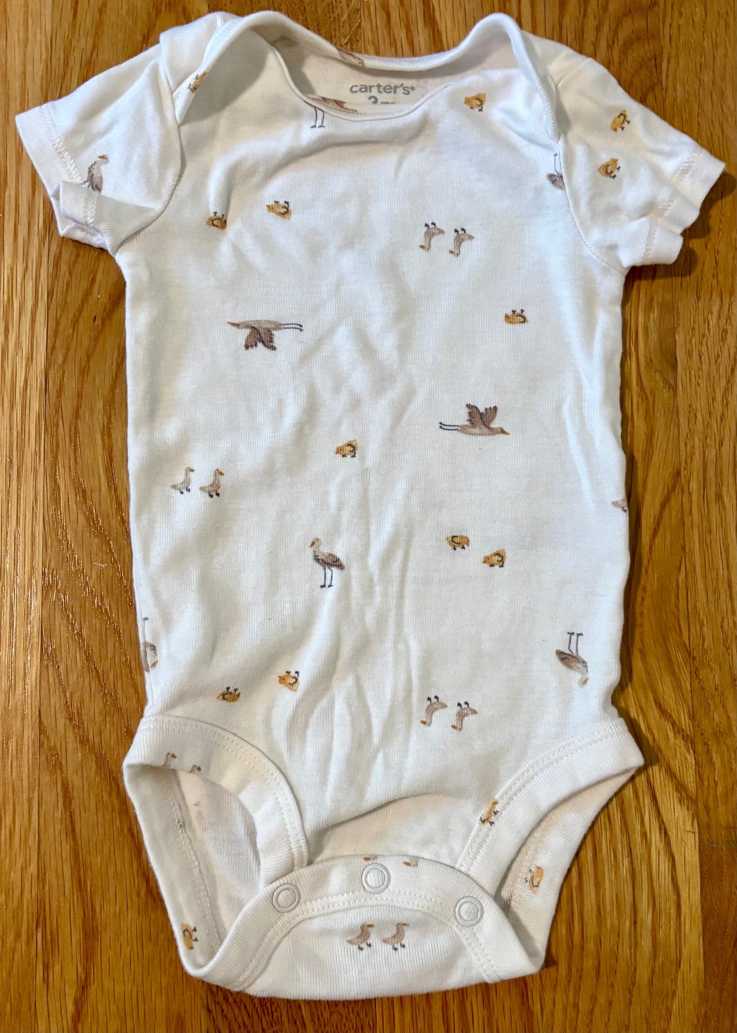 Seller #64 Carter’s 3M Gender Neutral Onesies set of 4