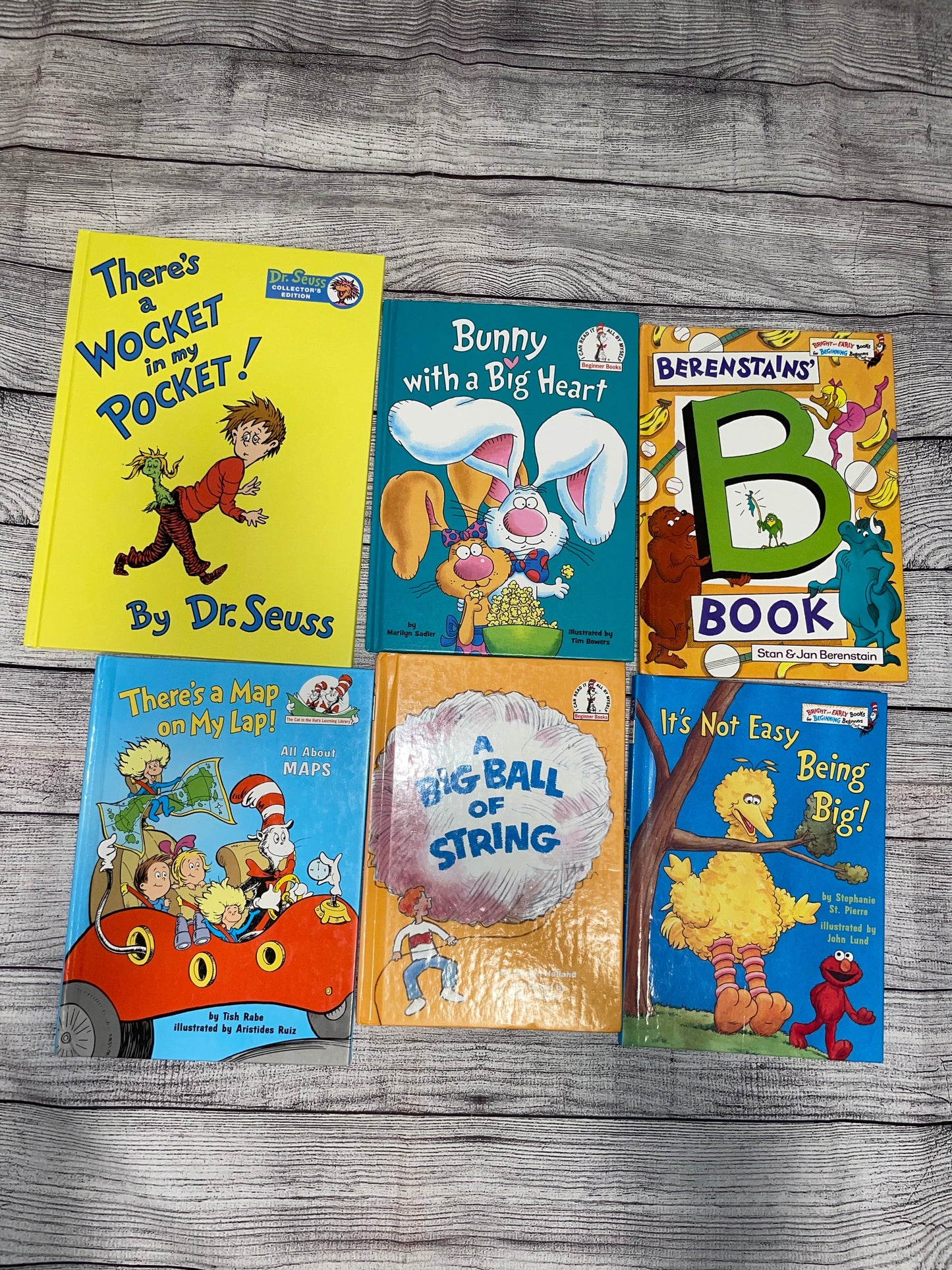 Seller#171 *REDUCED*  Dr Seuss Book Bundle (6 Books)