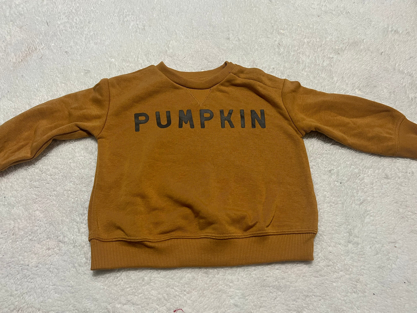 #48 Little Co Pumpkin Sweatshirt 9 Months