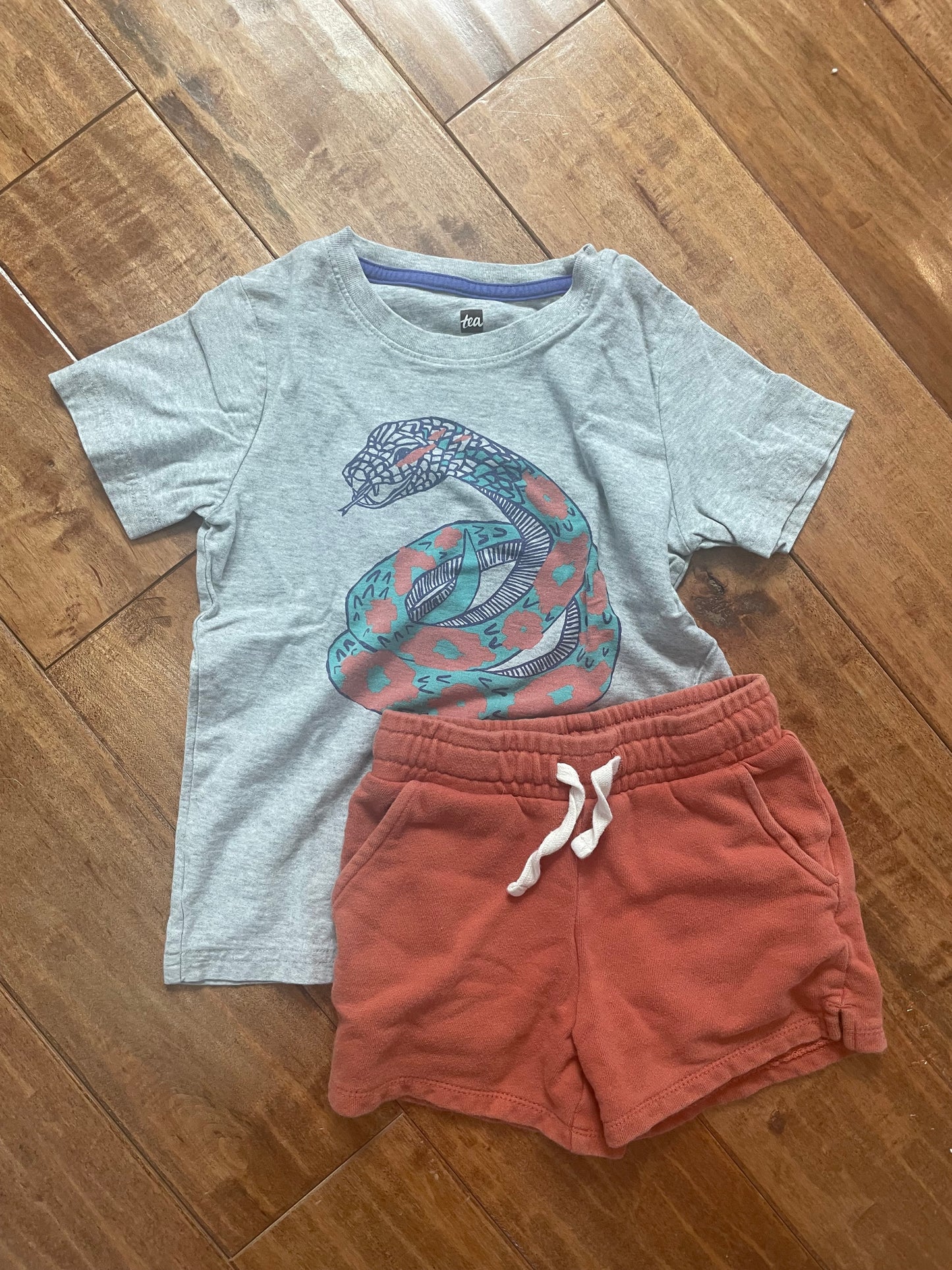 #199 Boys Tea Collection snake shirt and Car and Jack shorts size 5