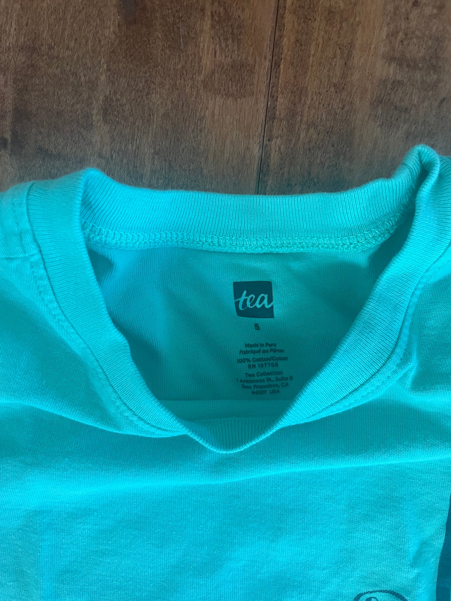 #199 Boys Tea Collection sushi boat shirt and blue checkered shorts size 5