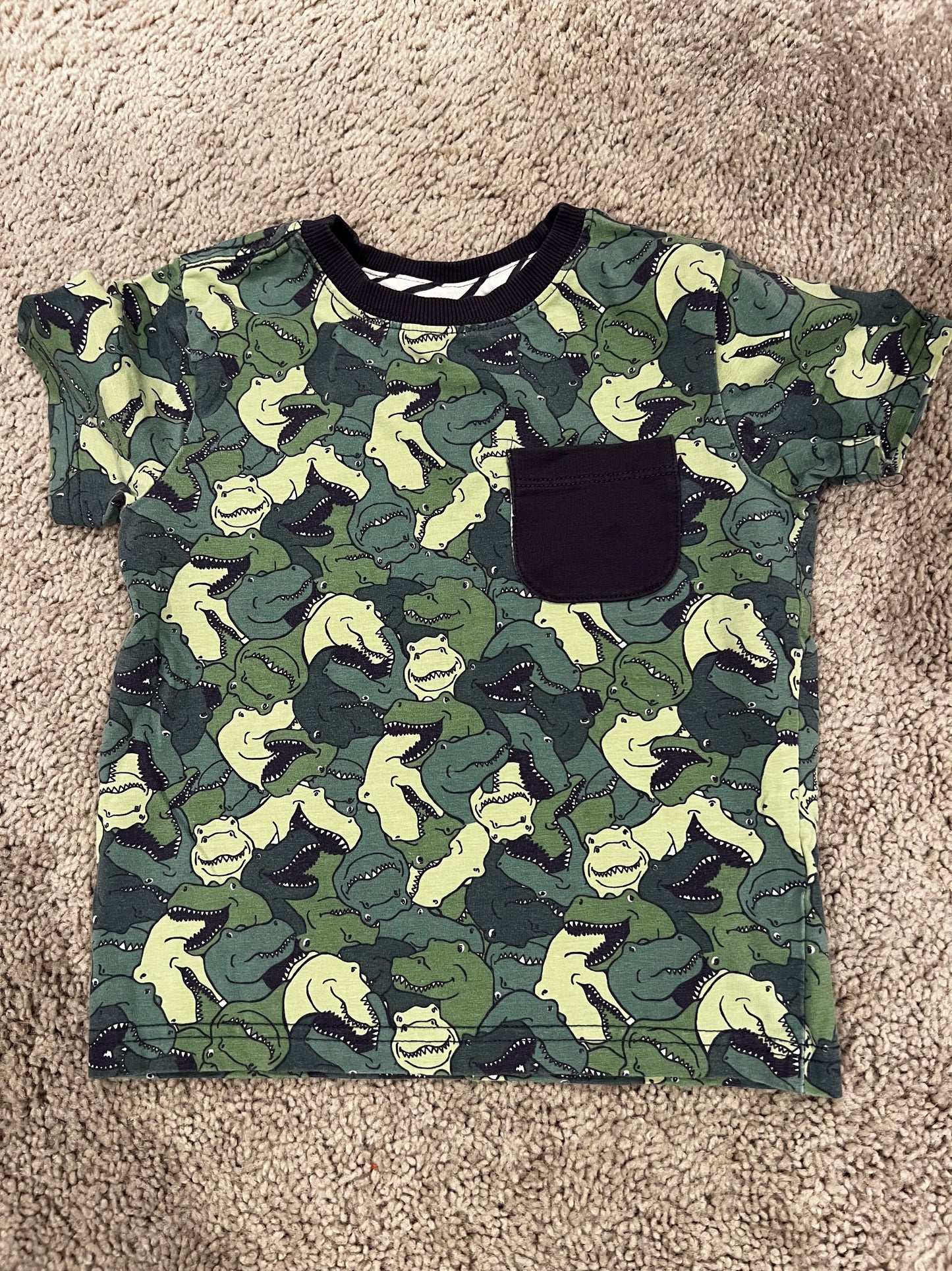 Dinosaur shirt