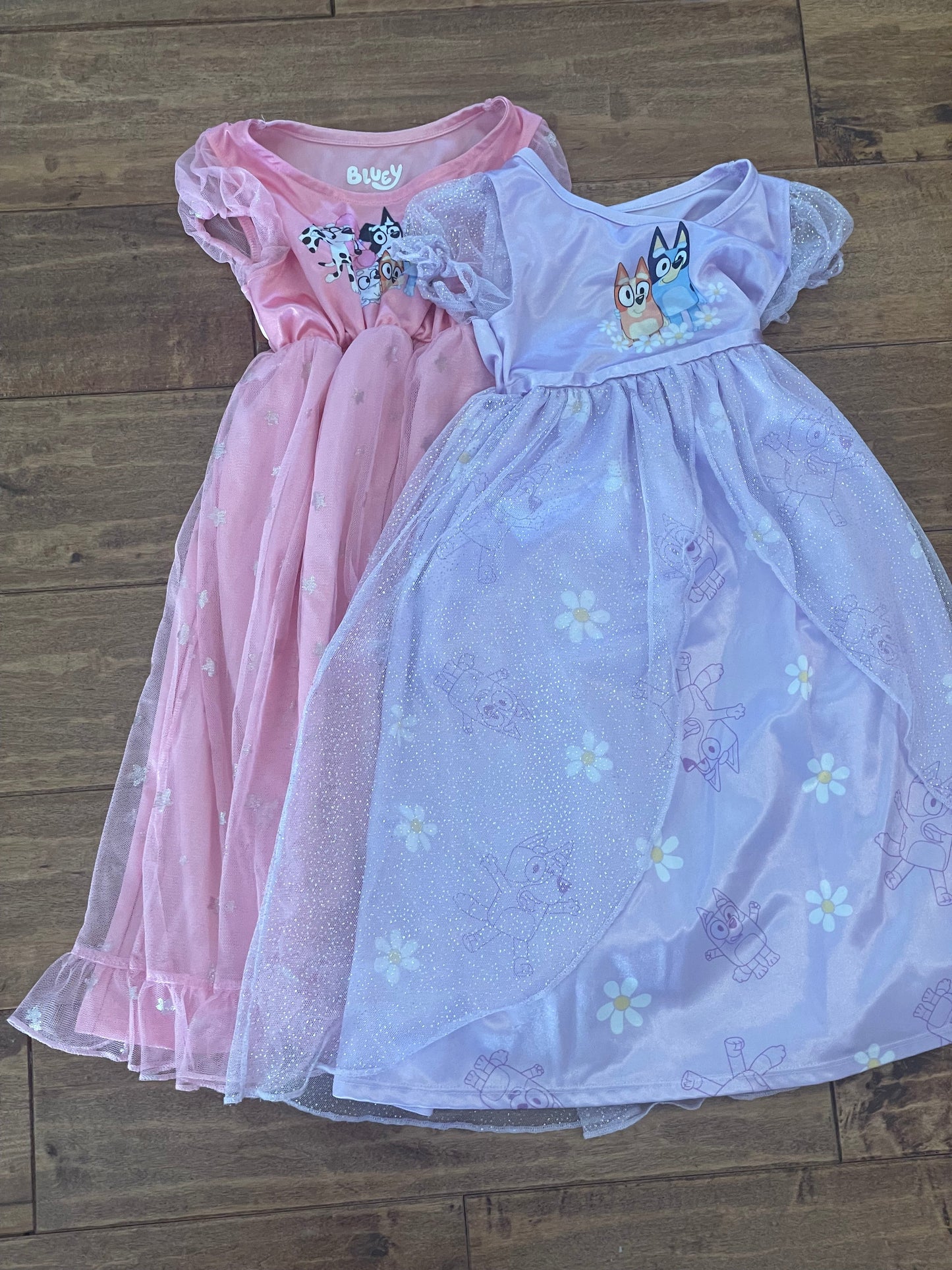 #199 Girls Bluey fantasy nightgowns size 3T
