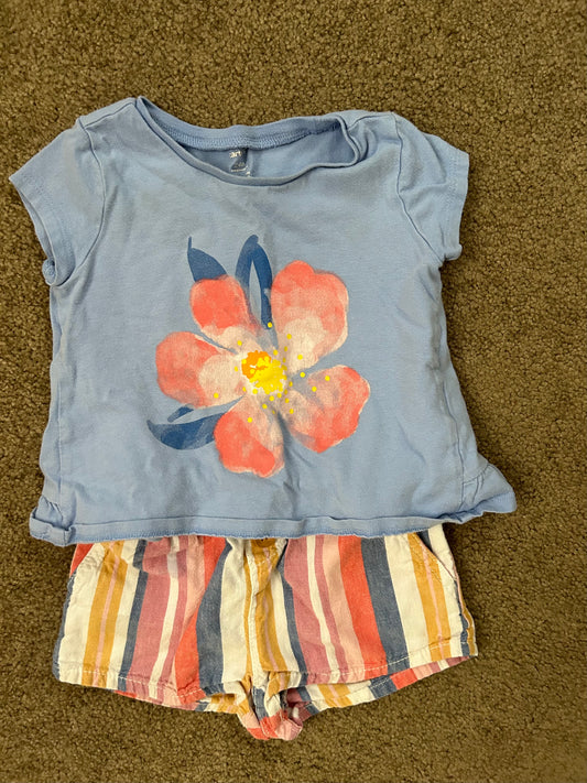 Carter's 24 month Girl Striped Shorts/Flowered Tee Set