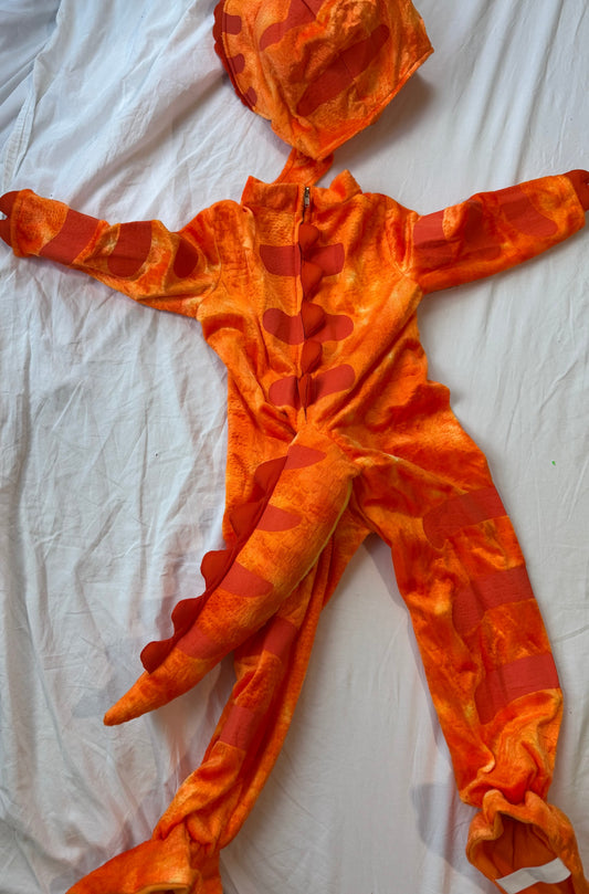 #113 Halloween Dinosaur 3t costume *reduced*