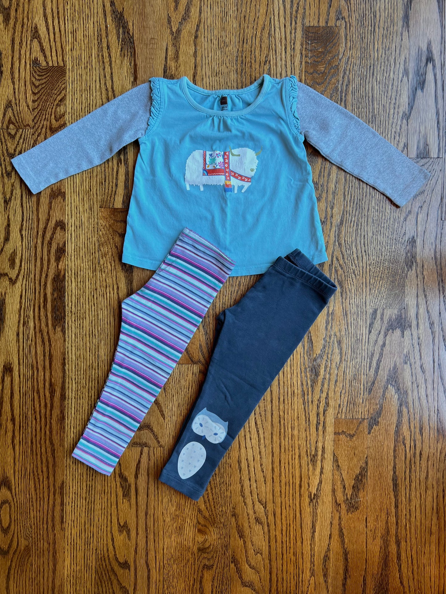 Tea Collection Baby Girl 24M Bundle, Top & 2 Pairs of Leggings (Navy Owl & Stripes)