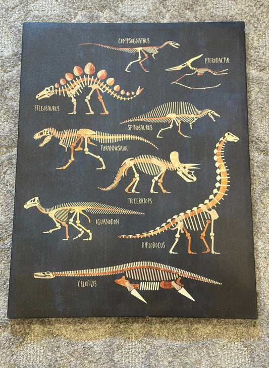 #16 - Large Dino Canvas
